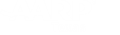 AARP Texas logo